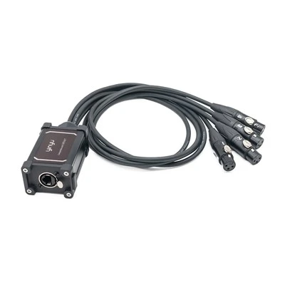Διακοπή δικτύου προσαρμογέα RJ45 σε 4 XLR